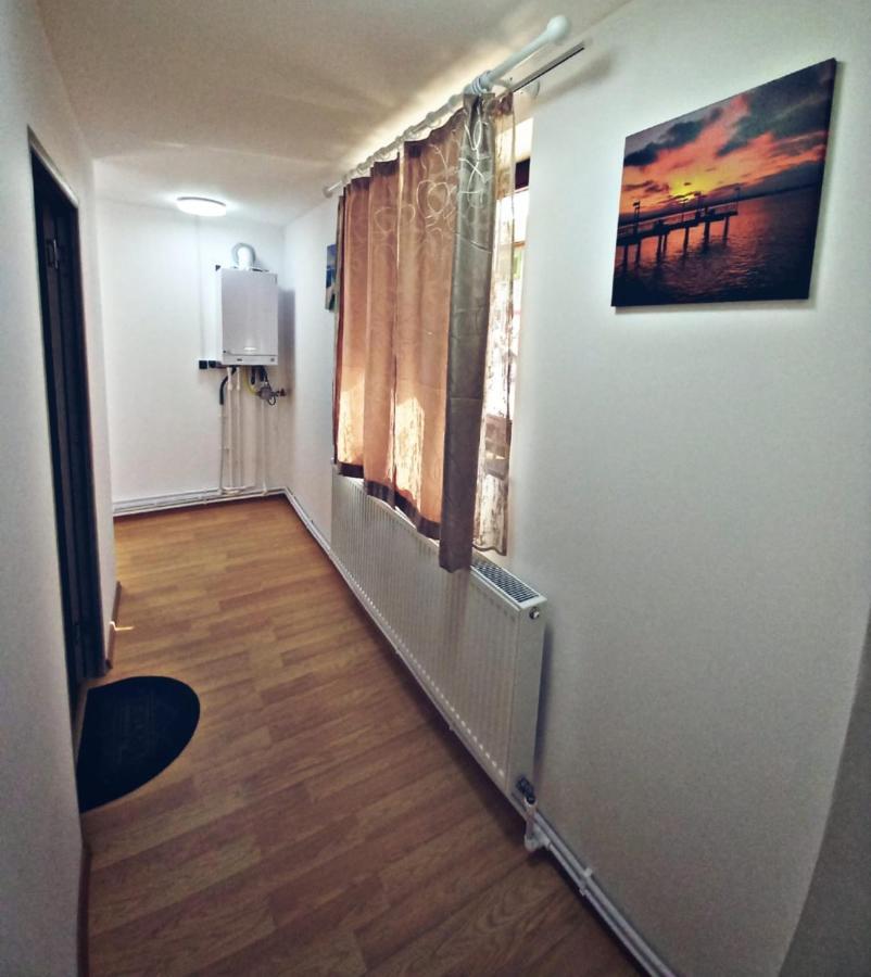Camere In Regim Hotelier براشوف المظهر الخارجي الصورة