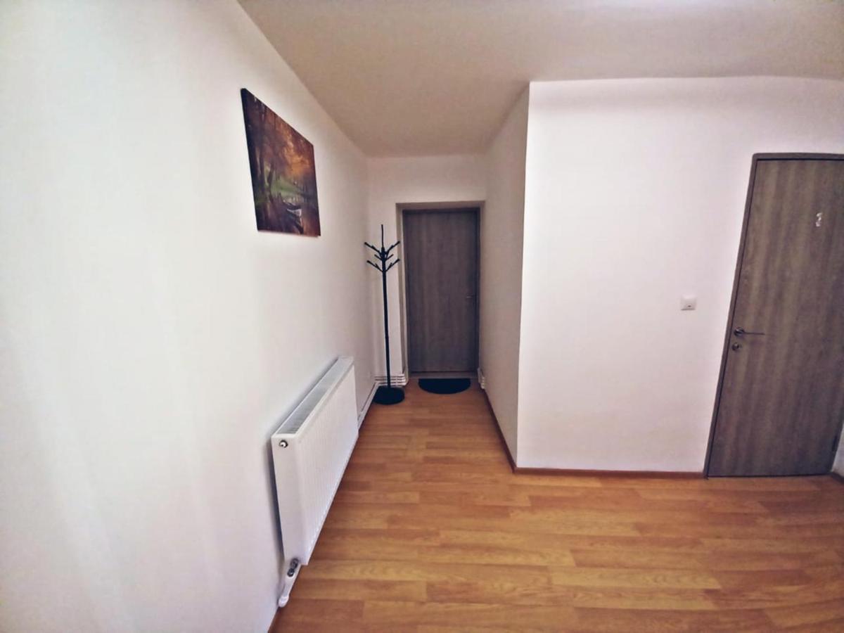 Camere In Regim Hotelier براشوف المظهر الخارجي الصورة